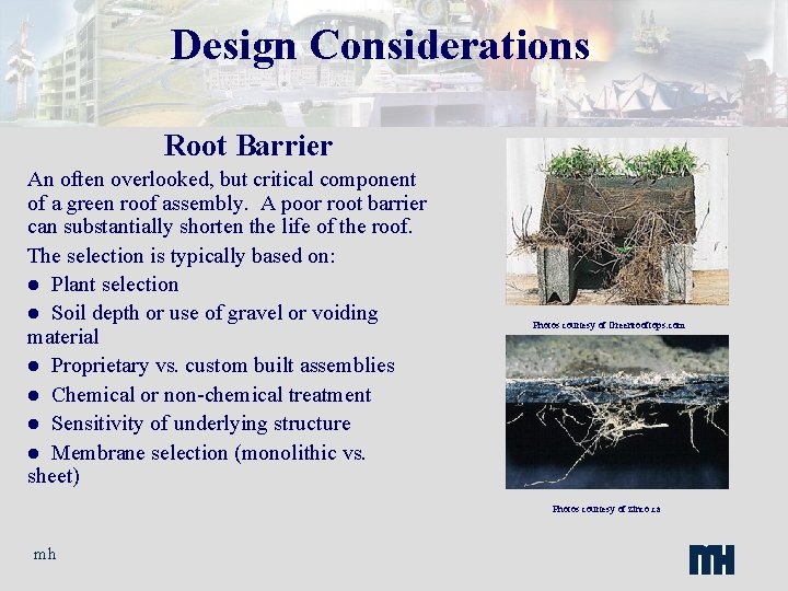 Design Considerations Root Barrier An often overlooked, but critical component of a green roof