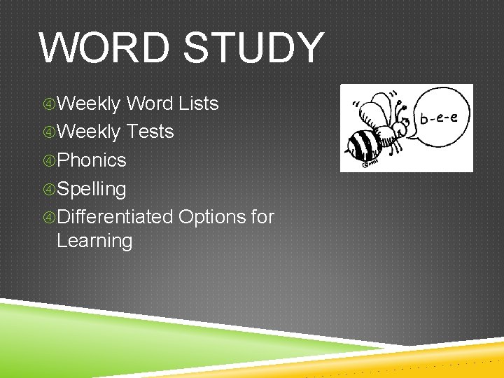 WORD STUDY Weekly Word Lists Weekly Tests Phonics Spelling Differentiated Options for Learning 