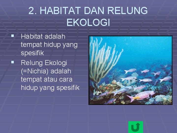 2. HABITAT DAN RELUNG EKOLOGI § Habitat adalah tempat hidup yang spesifik § Relung