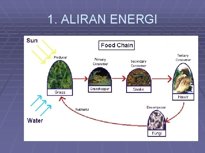 1. ALIRAN ENERGI 