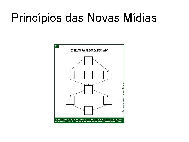 Princípios das Novas Mídias 