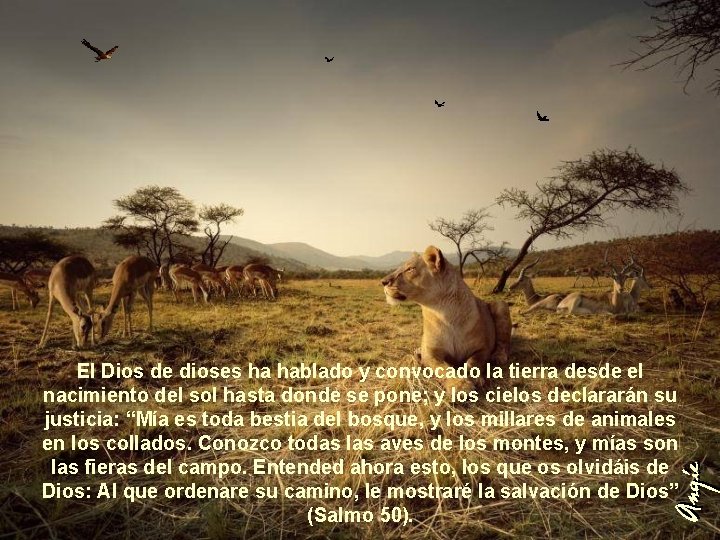 El Dios de dioses ha hablado y convocado la tierra desde el nacimiento del