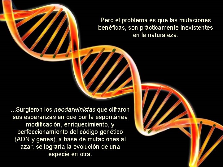 Pero el problema es que las mutaciones benéficas, son prácticamente inexistentes en la naturaleza.