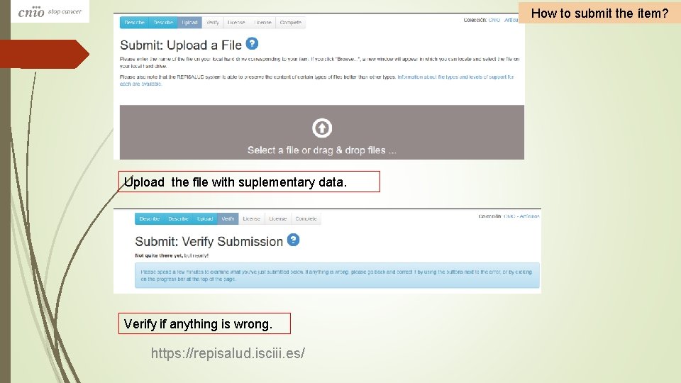 How to submit the ítem? Upload the file with suplementary data. Verify if anything