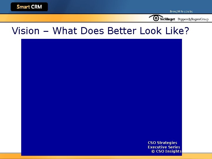Vision – What Does Better Look Like? CSO Strategies Executive Series © CSO Insights