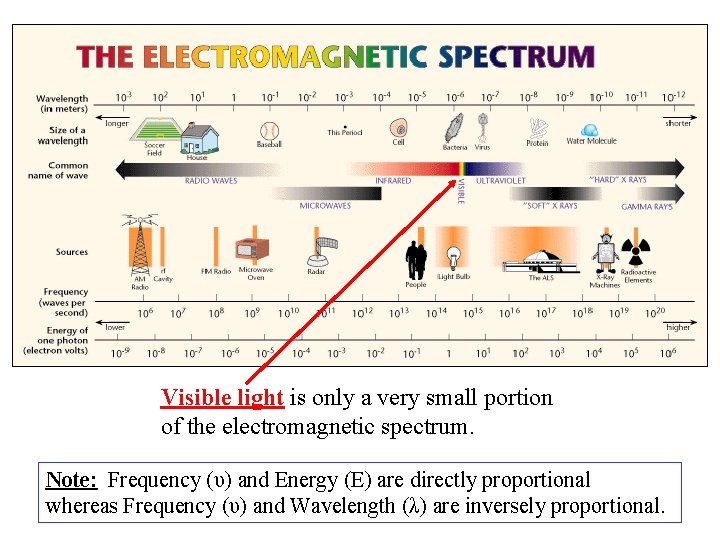 Visible light is only a very small portion of the electromagnetic spectrum. Note: Frequency