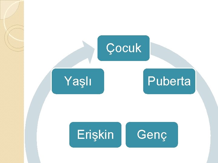 Çocuk Yaşlı Erişkin Puberta Genç 