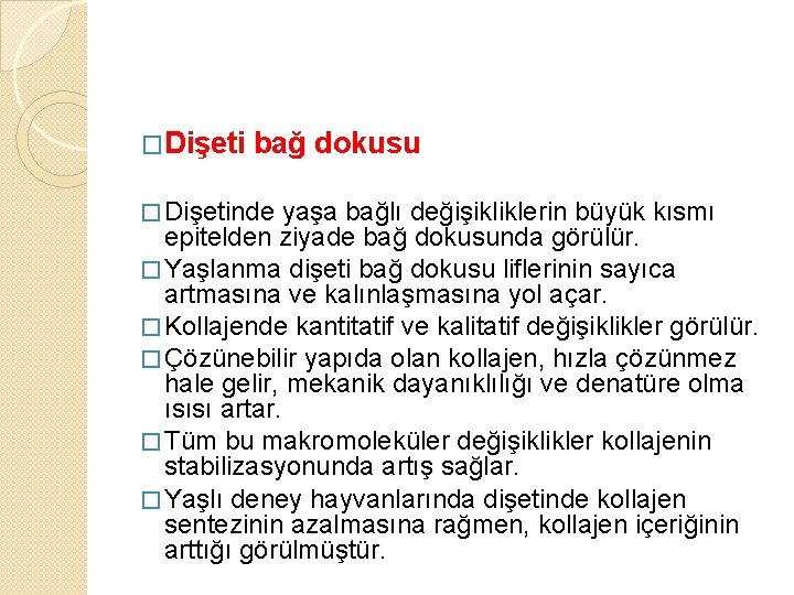�Dişeti bağ dokusu � Dişetinde yaşa bağlı değişikliklerin büyük kısmı epitelden ziyade bağ dokusunda
