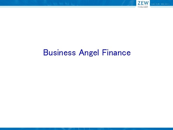 Business Angel Finance 