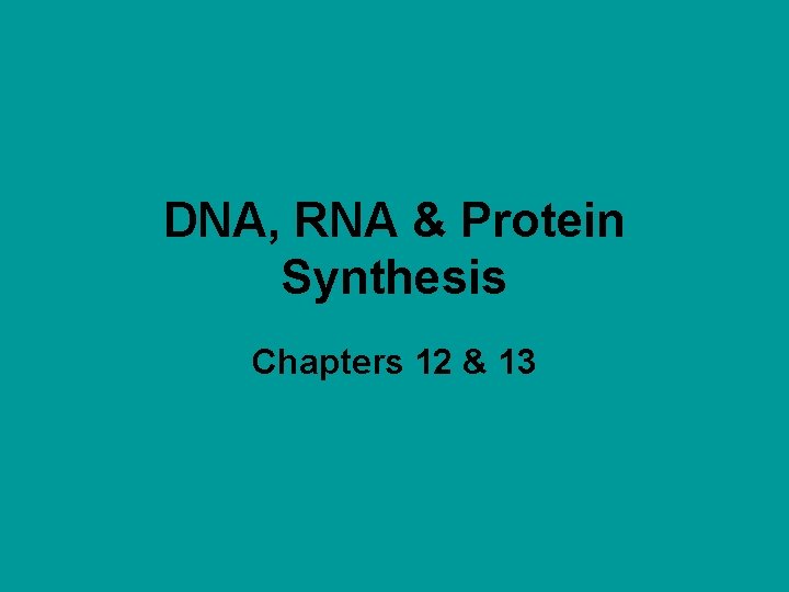 DNA RNA Protein Synthesis Chapters 12 13 The