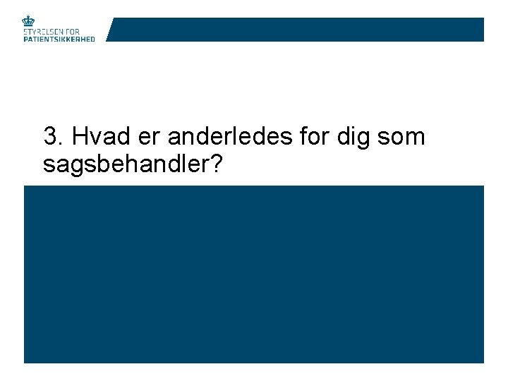 3. Hvad er anderledes for dig som sagsbehandler? 