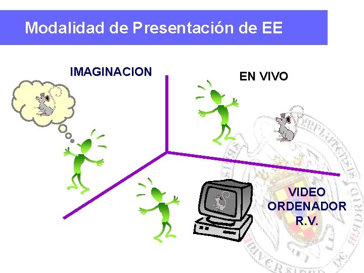 Modalidad de Presentación de EE IMAGINACION EN VIVO VIDEO ORDENADOR R. V. 