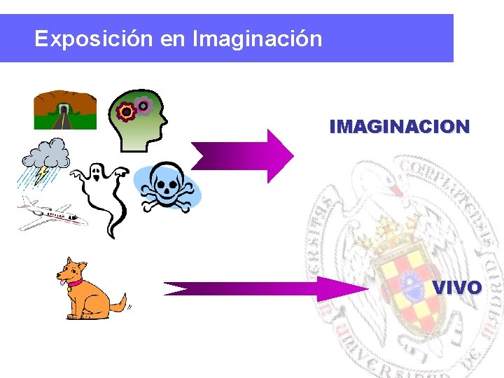 Exposición en Imaginación IMAGINACION VIVO 