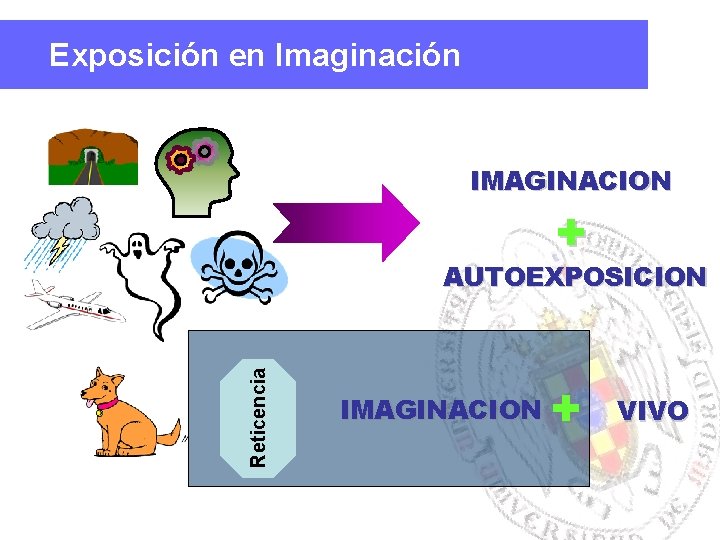 Exposición en Imaginación IMAGINACION + Reticencia AUTOEXPOSICION IMAGINACION + VIVO 