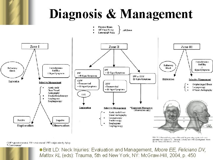 Diagnosis & Management l l. Britt LD: Neck Injuries: Evaluation and Management, Moore EE,