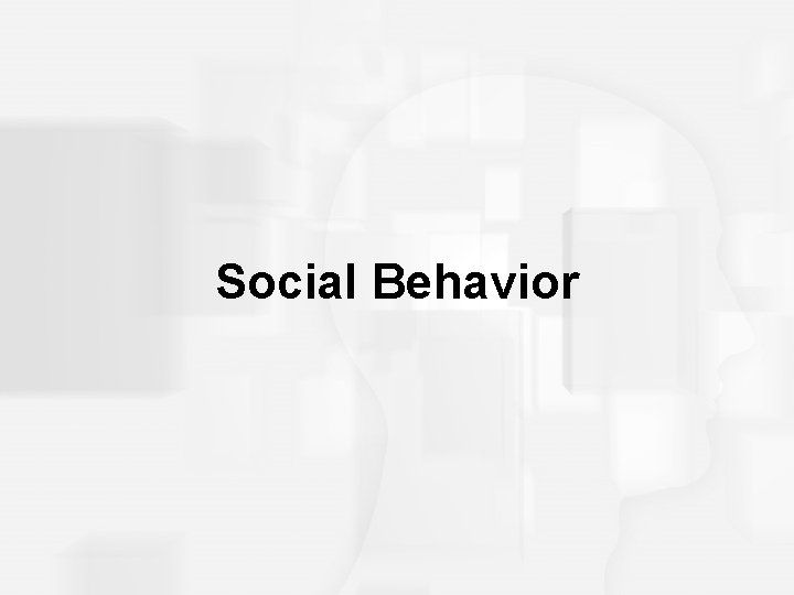 Social Behavior 