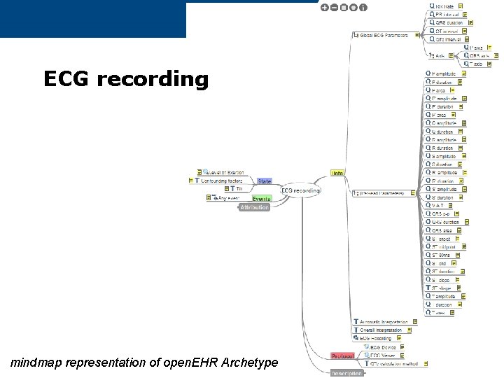 ECG recording mindmap representation of open. EHR Archetype 