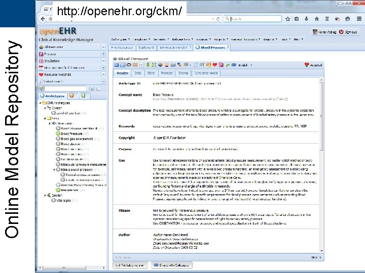 Online Model Repository http: //openehr. org/ckm/ 12 