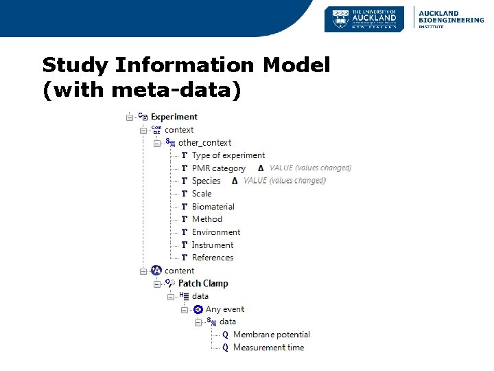 Study Information Model (with meta-data) 