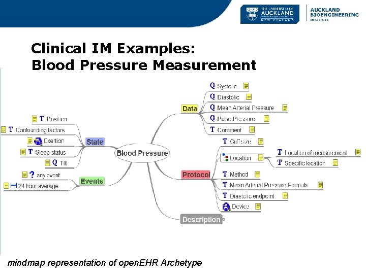 Clinical IM Examples: Blood Pressure Measurement mindmap representation of open. EHR Archetype 