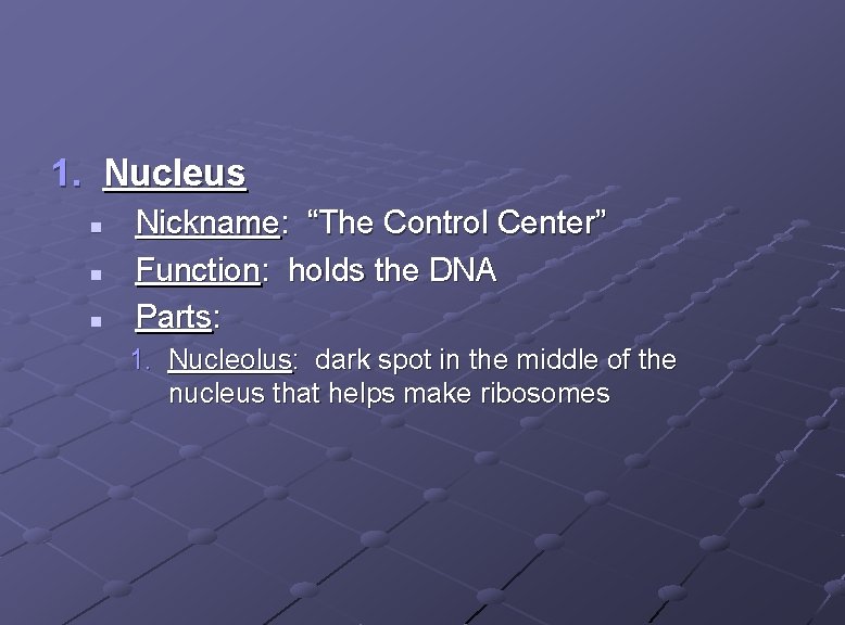 1. Nucleus n n n Nickname: “The Control Center” Function: holds the DNA Parts: