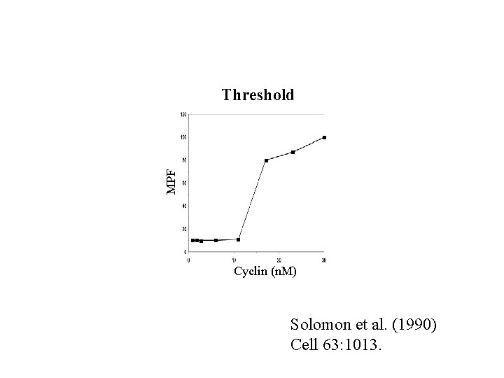 MPF Threshold Cyclin (n. M) Solomon et al. (1990) Cell 63: 1013. 