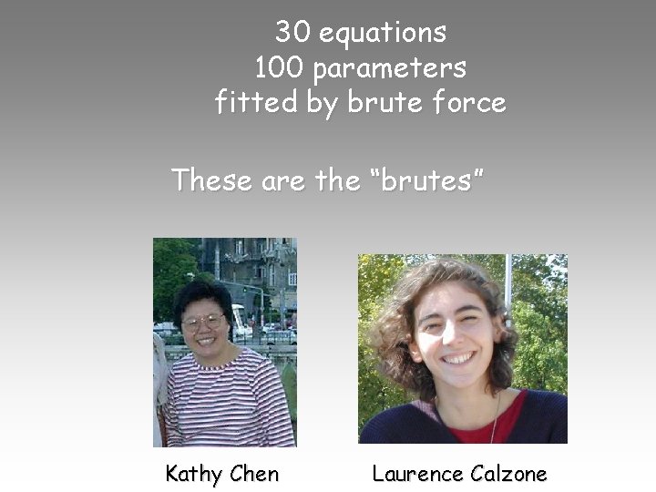 30 equations 100 parameters fitted by brute force These are the “brutes” Kathy Chen