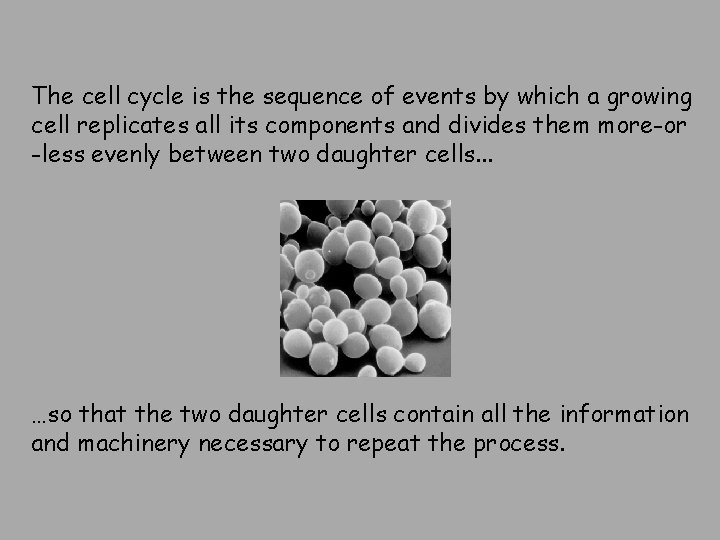 The cell cycle is the sequence of events by which a growing cell replicates