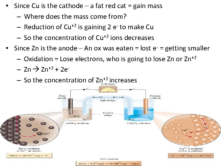  • Since Cu is the cathode – a fat red cat = gain