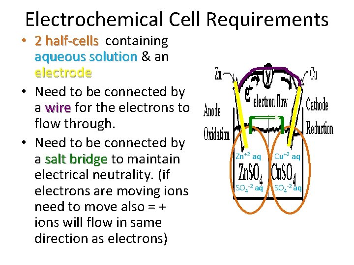 Electrochemical Cell Requirements • 2 half-cells containing aqueous solution & an electrode • Need