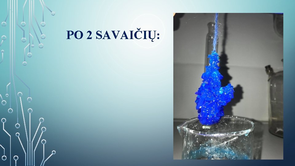 PO 2 SAVAIČIŲ: 