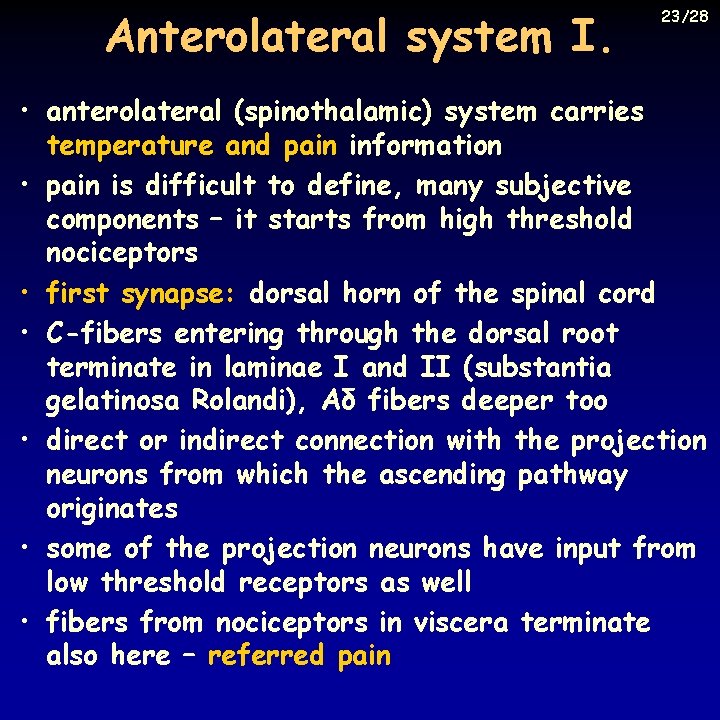 Anterolateral system I. 23/28 • anterolateral (spinothalamic) system carries temperature and pain information •