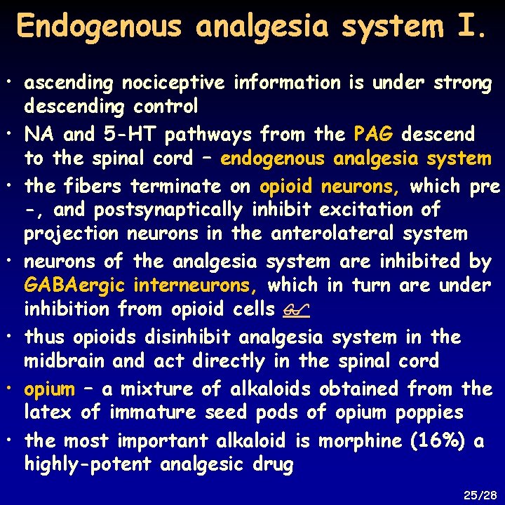 Endogenous analgesia system I. • ascending nociceptive information is under strong descending control •