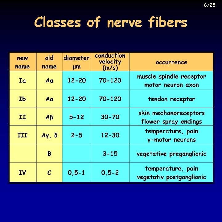 6/28 Classes of nerve fibers 
