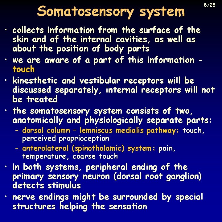Somatosensory system 8/28 • collects information from the surface of the skin and of