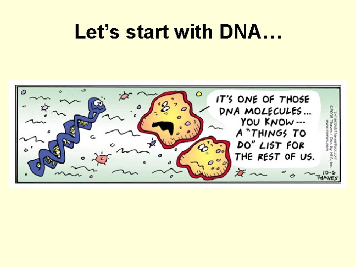 Let’s start with DNA… 