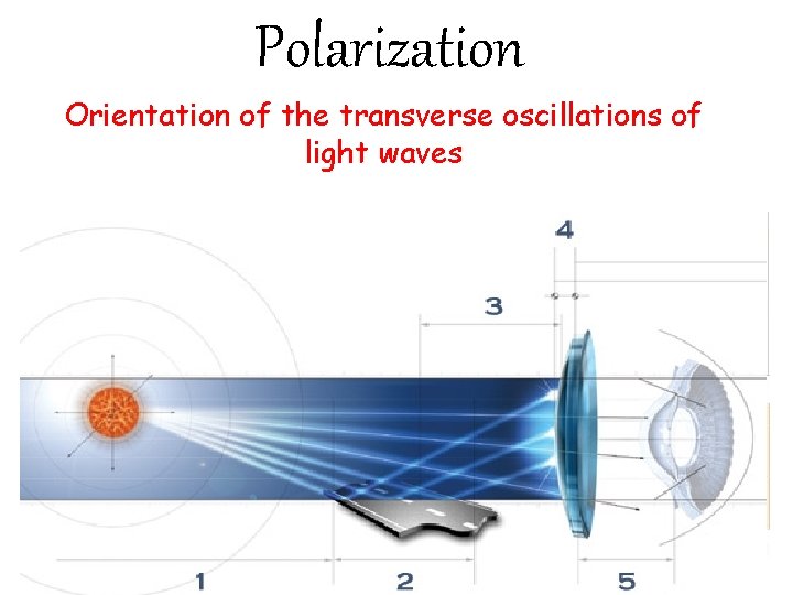 Polarization Orientation of the transverse oscillations of light waves Partially Polarized – Some preferential