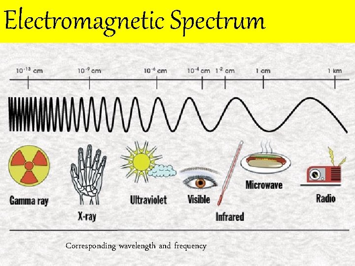 Electromagnetic Spectrum Corresponding wavelength and frequency 