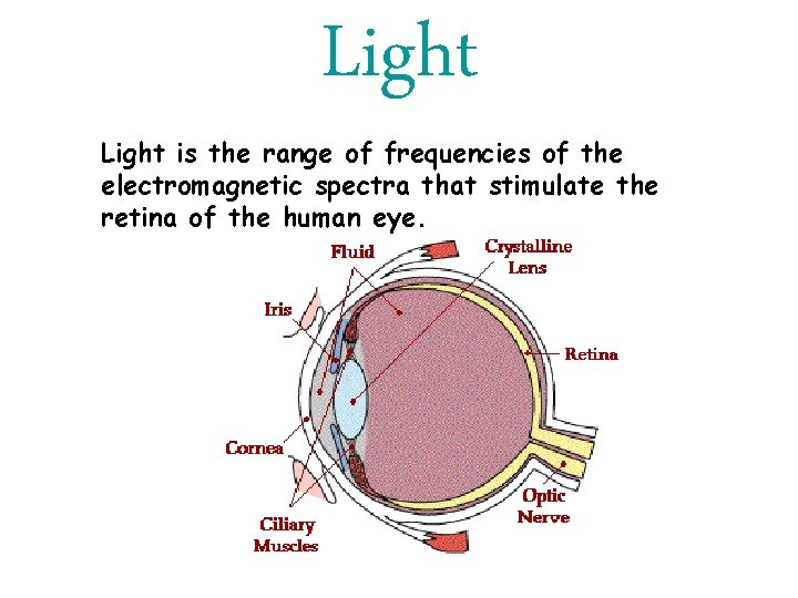 Light is the range of frequencies of the electromagnetic spectra that stimulate the retina