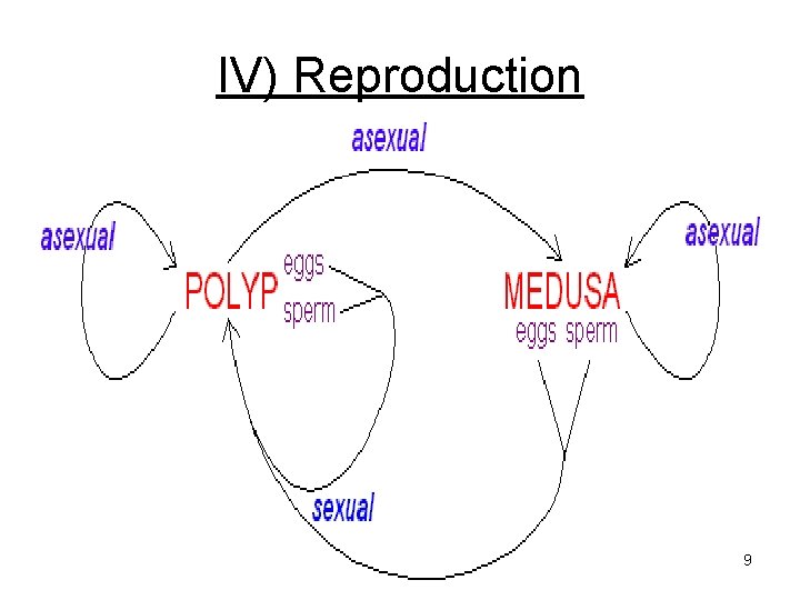 IV) Reproduction 9 