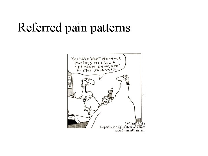Referred pain patterns Referred pain patterns