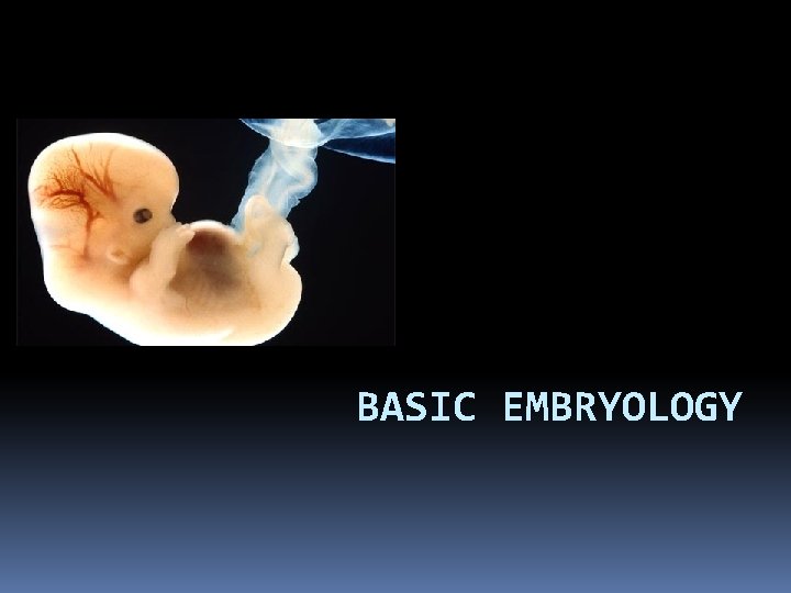 BASIC EMBRYOLOGY 