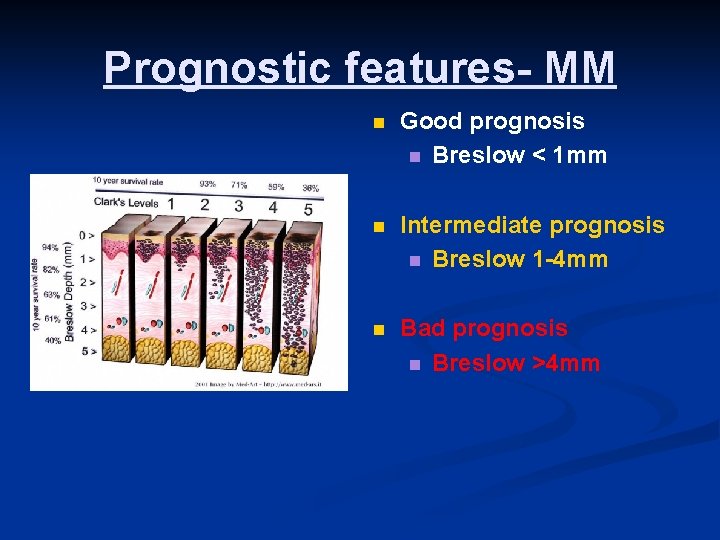 Prognostic features- MM n Good prognosis n Breslow < 1 mm n Intermediate prognosis