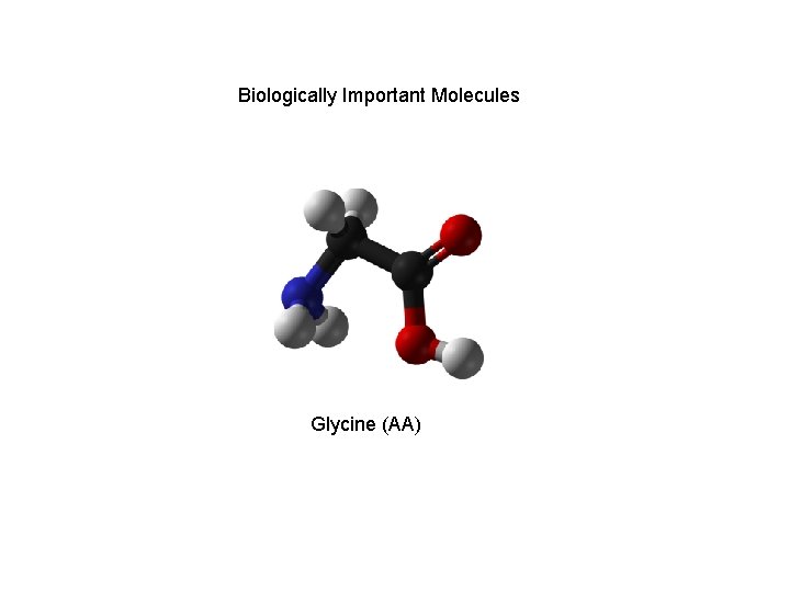 Biologically Important Molecules Glycine (AA) 