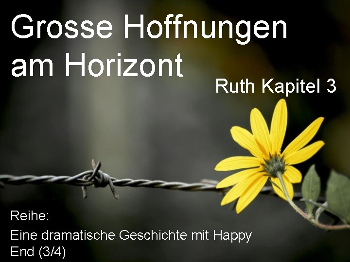 Grosse Hoffnungen am Horizont Ruth Kapitel 3 Reihe: Eine dramatische Geschichte mit Happy End