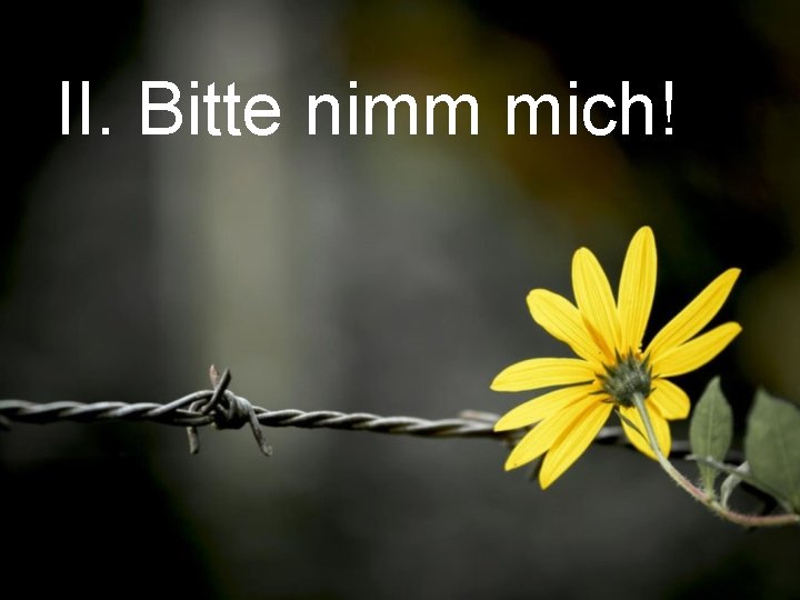 II. Bitte nimm mich! 