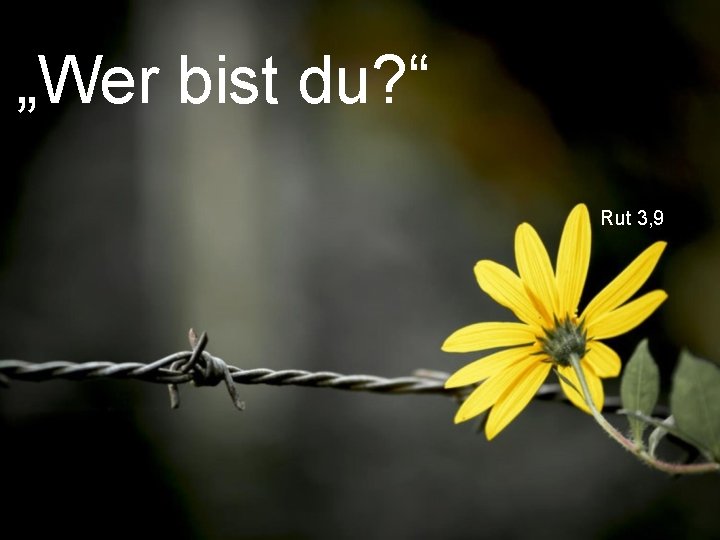 „Wer bist du? “ Rut 3, 9 