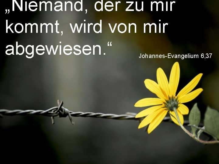 „Niemand, der zu mir kommt, wird von mir abgewiesen. “ Johannes-Evangelium 6, 37 