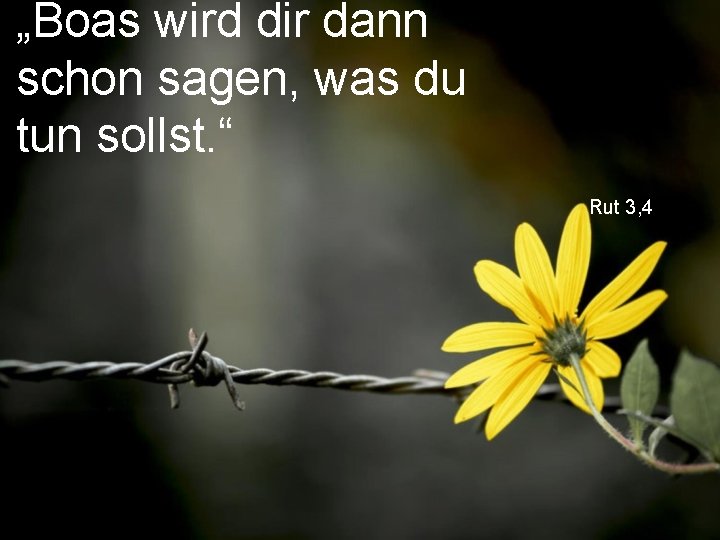 „Boas wird dir dann schon sagen, was du tun sollst. “ Rut 3, 4