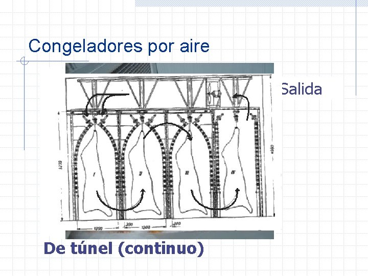 Congeladores por aire Salida Entrada De túnel (continuo) 